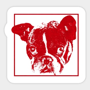 boston terrier / french bulldog red outline Sticker